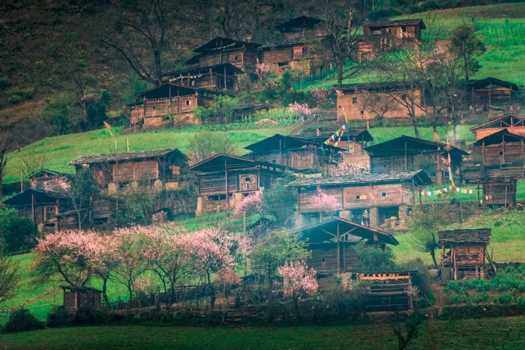 雾里村