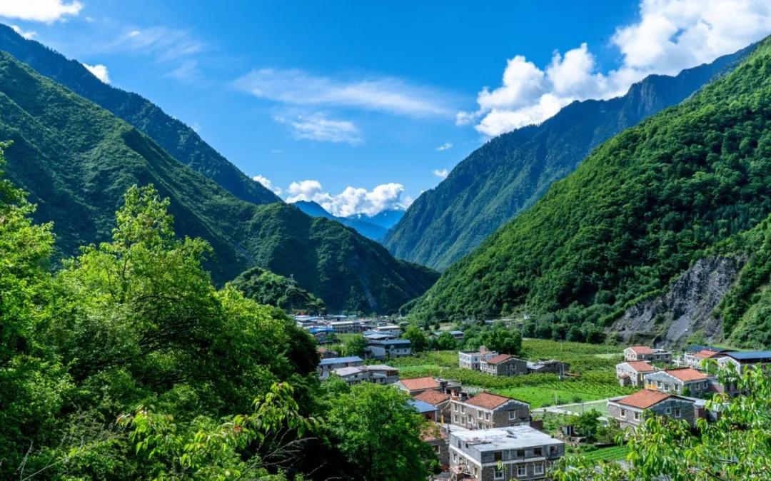 (孟屯河谷的夏天) 此刻 我们在理县过着15℃的夏天 无论你在哪里