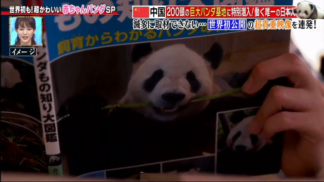 为了学四川话，这个日本姑娘拼了