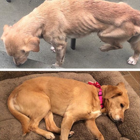 那天夜里，她闯进了陌生人的家……