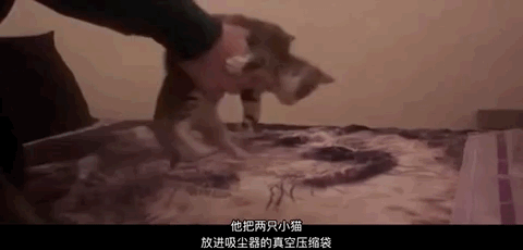 【英国】犯罪学家：变态连锁杀人犯虐待虐杀动物