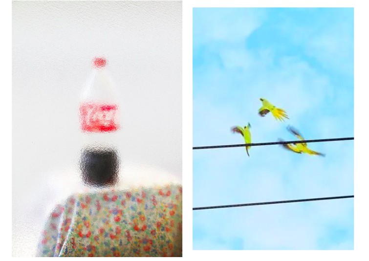 6位摄影师带你窥见6种不一样的日本