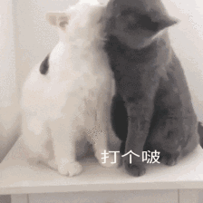 她比所有的手机加上游戏都好玩 感觉捡到宝贝了 做梦都能笑醒 我说