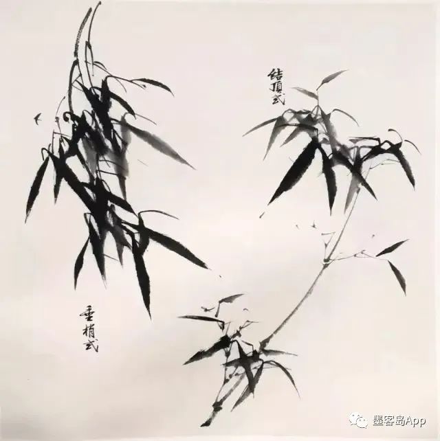 中国画技法:写意竹子教程,一学就会