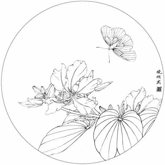 书画联盟丨工笔紫荆花和蛱蝶绘制过程