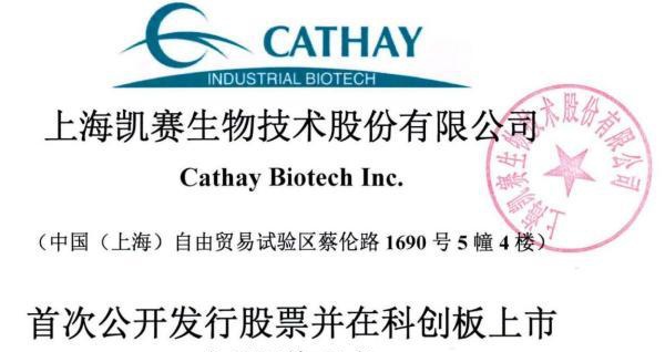 凯赛生物ipo存在安全生产风险曾陷专利纠纷票据流转违规不断