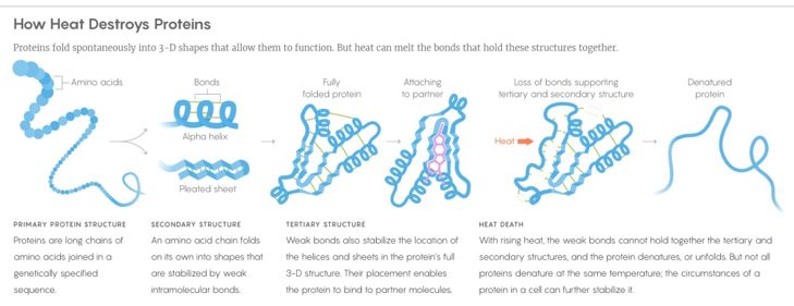 和微生物抗争的300万年里，人类是如何打胜仗的