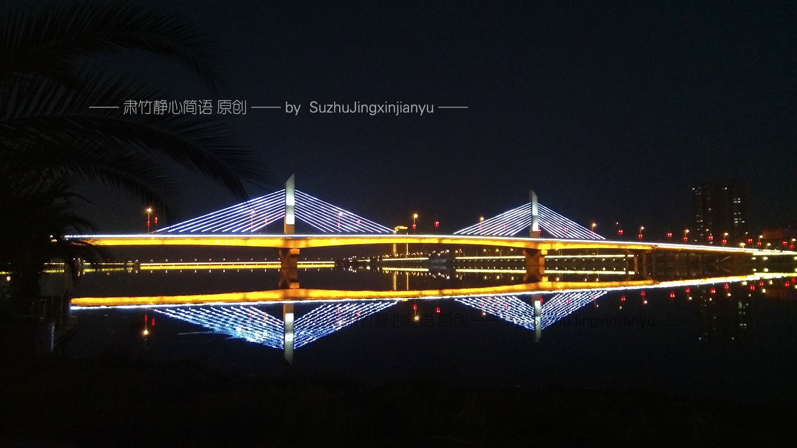 定军山大桥的霓虹灯是这个县城最具标志性的夜景之一,在它的周围也