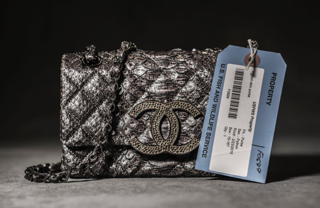 那些因人类的迷信娱乐贪婪，给野生动物带来的苦难