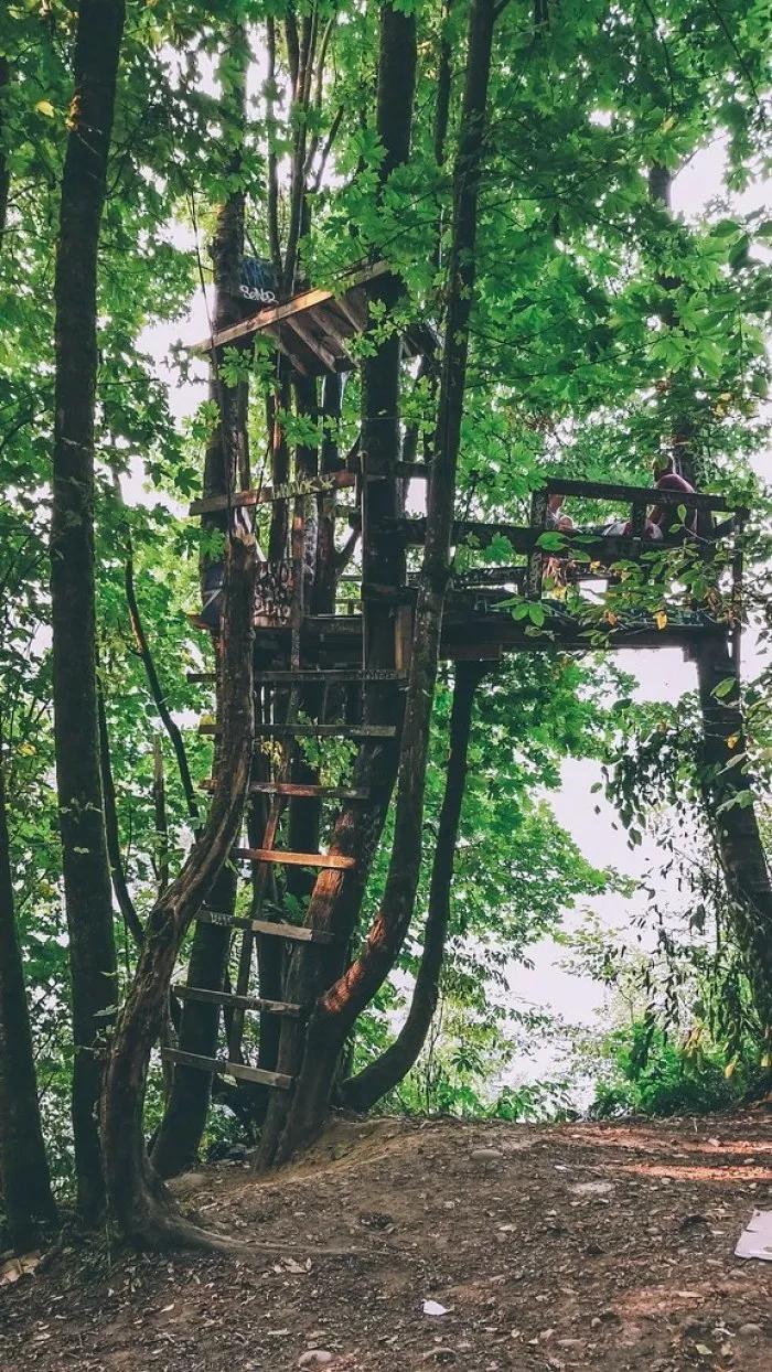 04second narrows bridge tree fort(树堡)