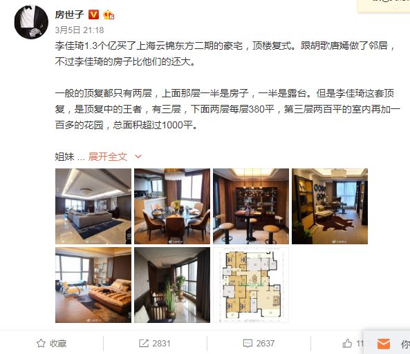 李佳琦13亿买上海豪宅房似锦15亿卖上海老洋房和这些真正的上海豪宅比