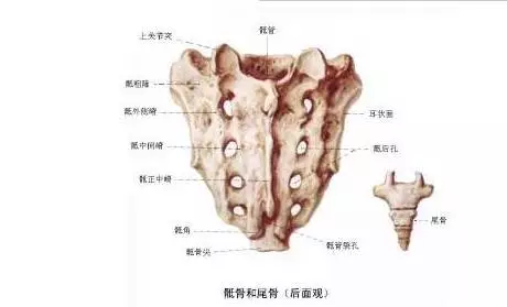 如何诊断骶尾骨骨折