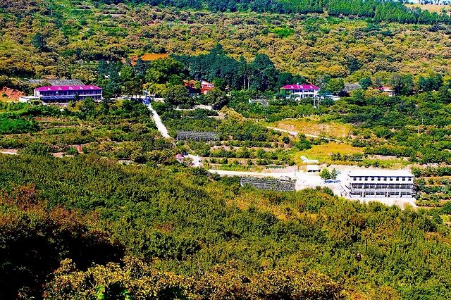 中国青州农民画画院 01  安丘城顶山生态旅游区 在这个诗意栖居之地