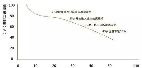 那些年,胶原蛋白都流失到哪里去了?