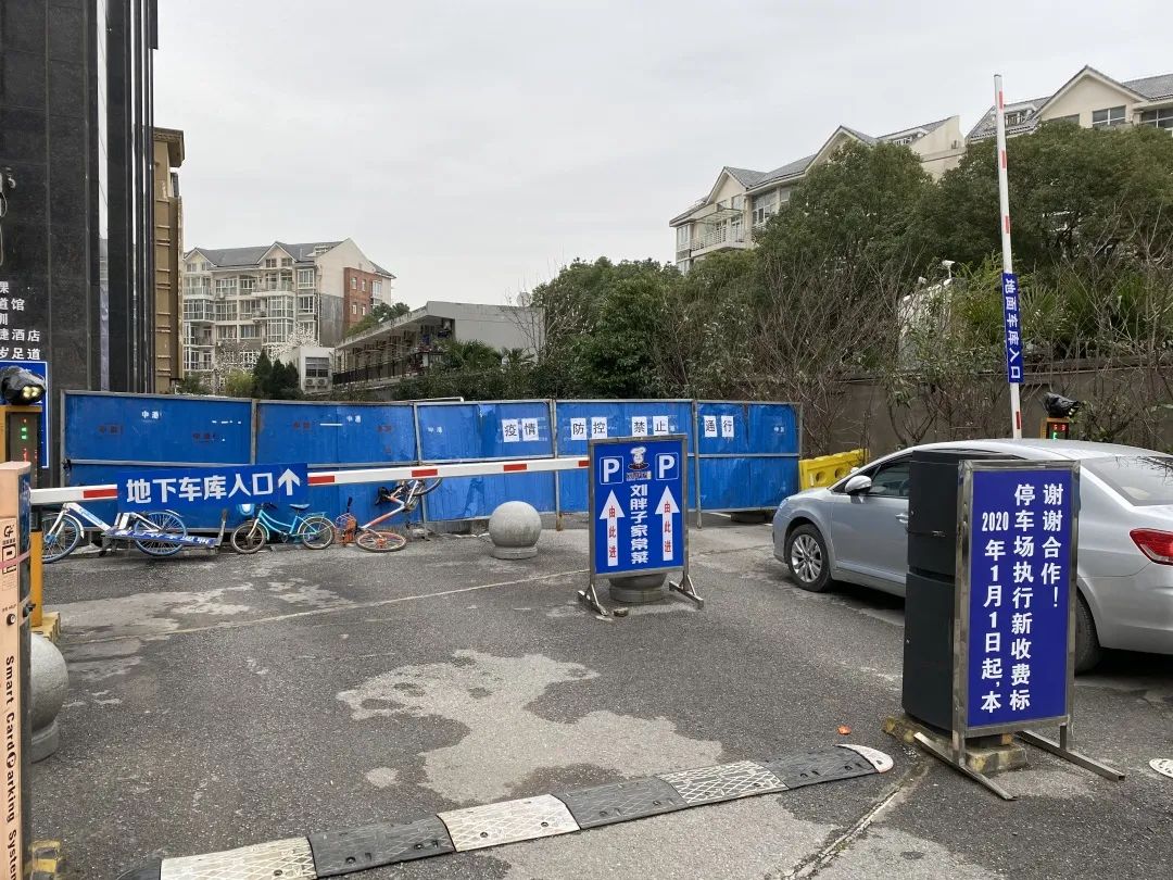 逆行四十日，香港摄记的武汉故事