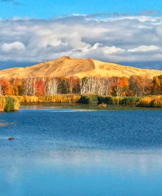 如果可以，一定要去新疆走一走，体会它的千种风情，万种风光（最新发布）