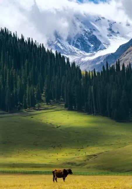 如果可以，一定要去新疆走一走，体会它的千种风情，万种风光（最新发布）