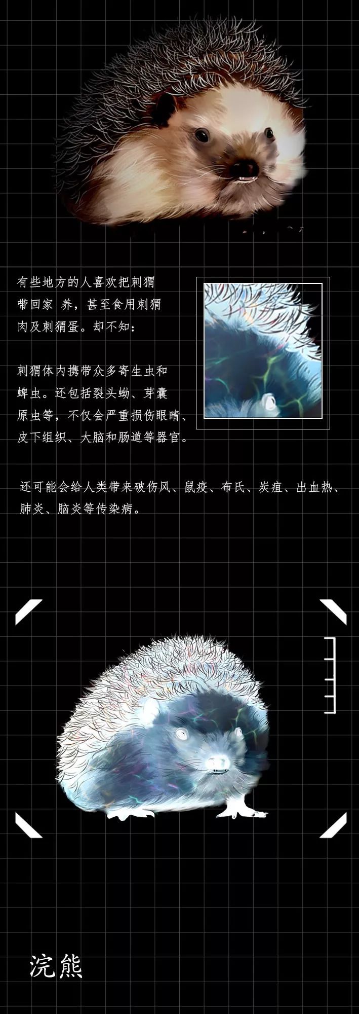 隐藏的「病毒携带者」曝光（赶紧举报）