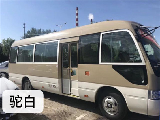 丰田coaster丰田考斯特2020新款价钱