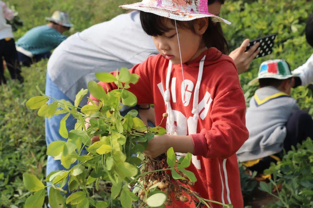 【秋季研学】浑水摸鱼,石磨面粉,稻草人diy,农场采摘.