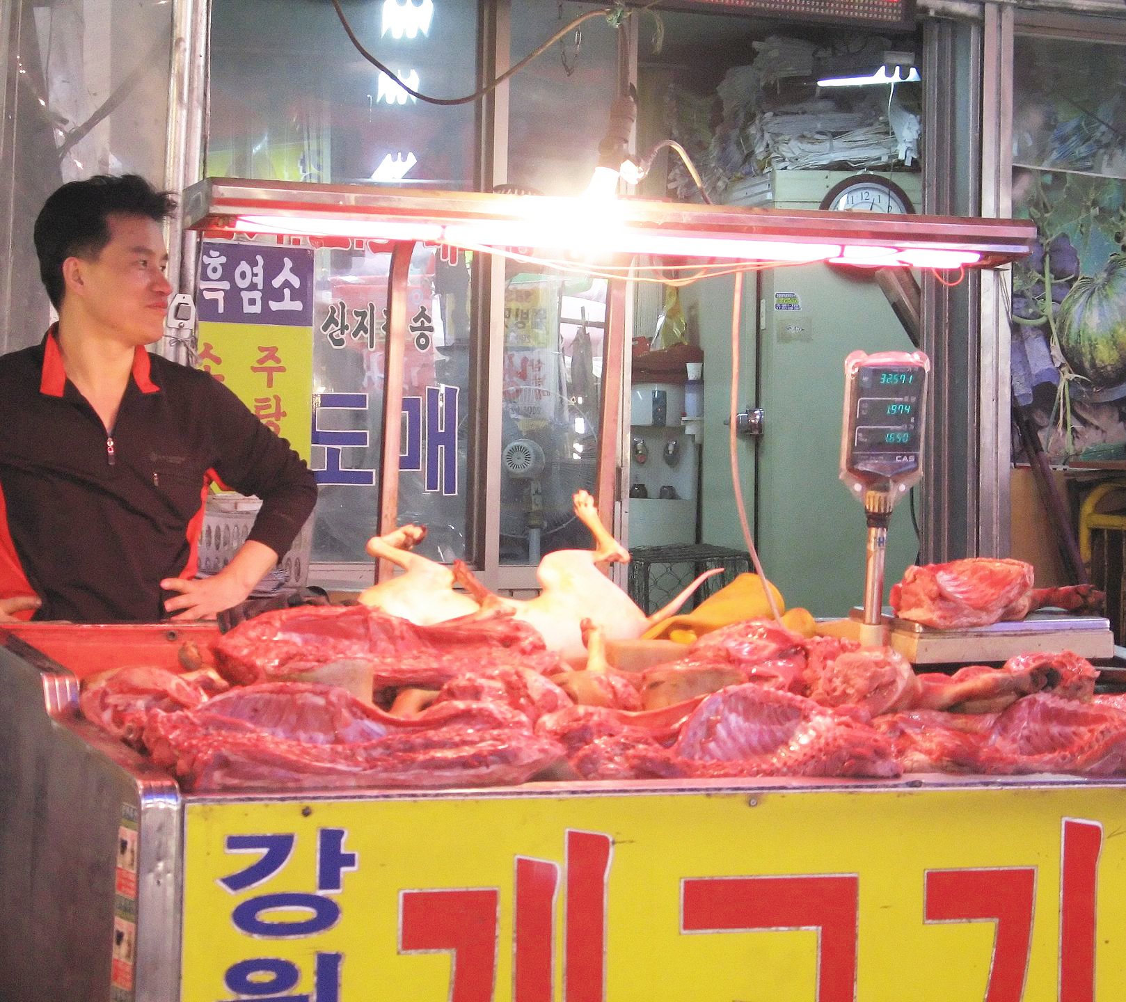 朝鲜狗肉风俗 | 地球知识局