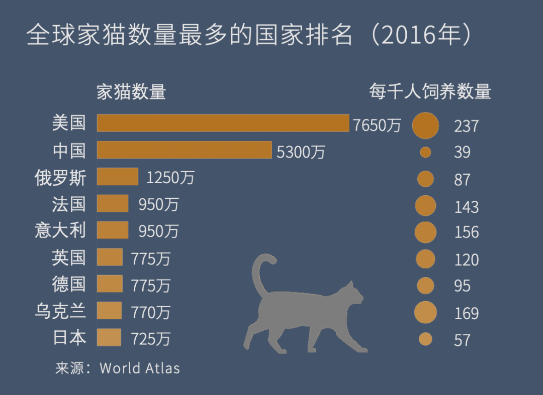 总的来说在中国流浪猫每年捕杀的野生动物是以百亿为单位的