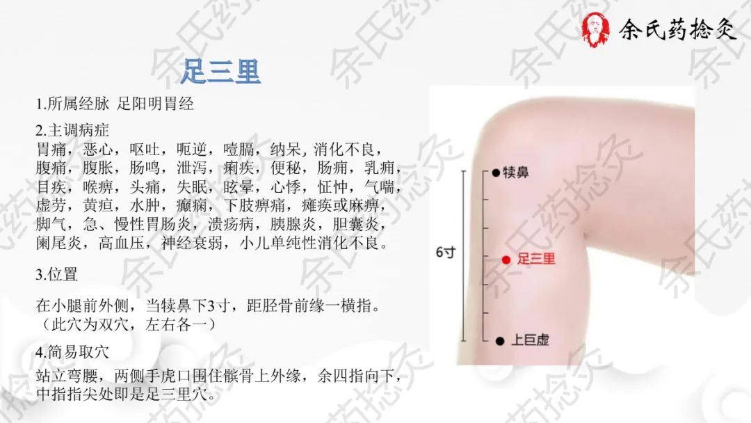 【足三里穴】:位于小腿外侧,犊鼻下3寸,犊鼻与解溪连线上.