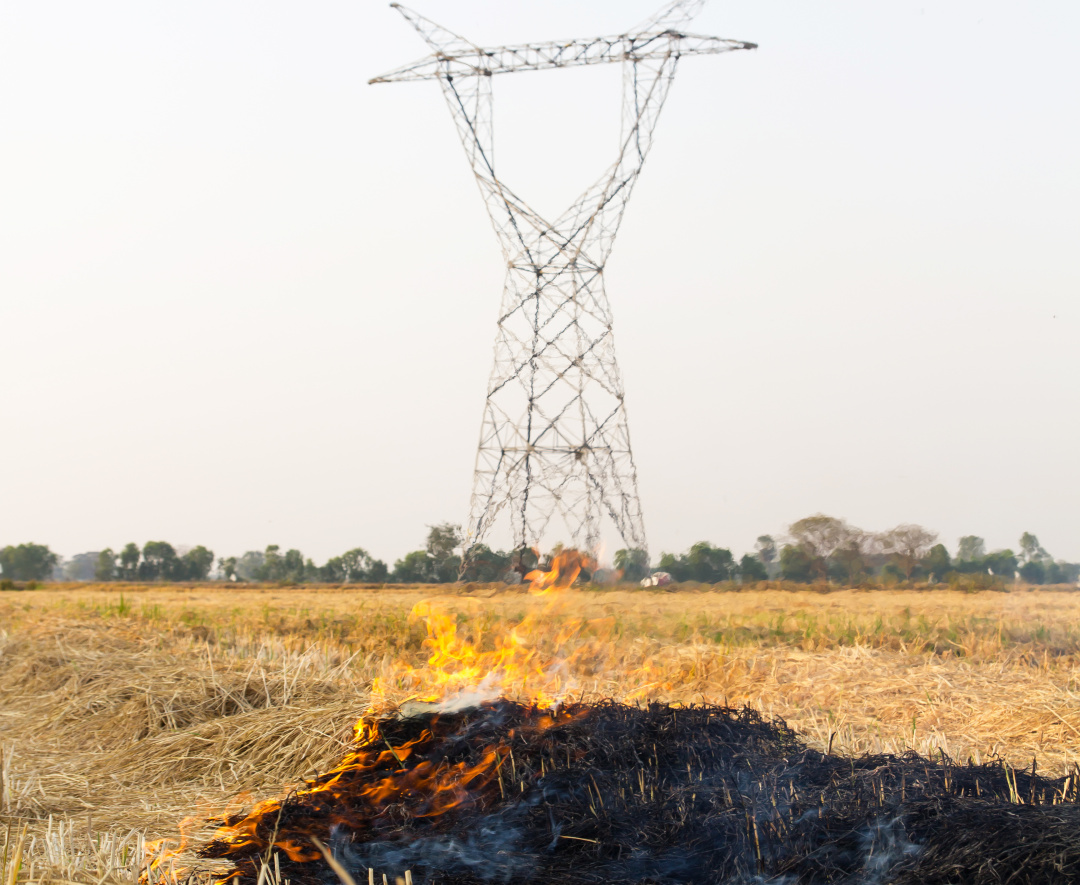 农村烧秸秆为何屡禁不止？ |　地球知识局