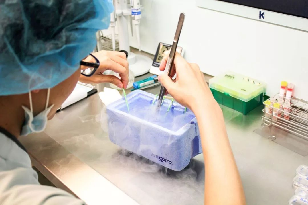 中国男女光棍超2亿，80%女性主动选择单身