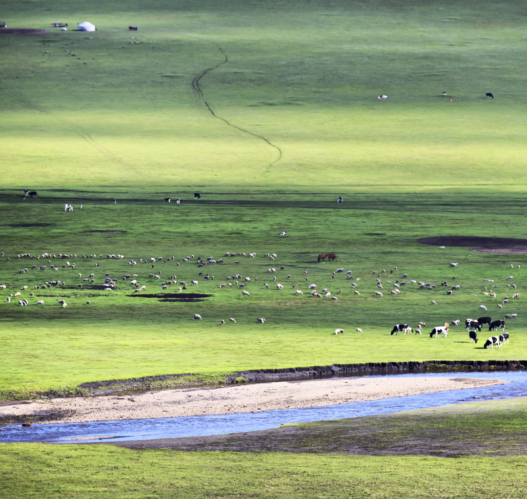 鲜卑人，从哪里来？ |　地球知识局