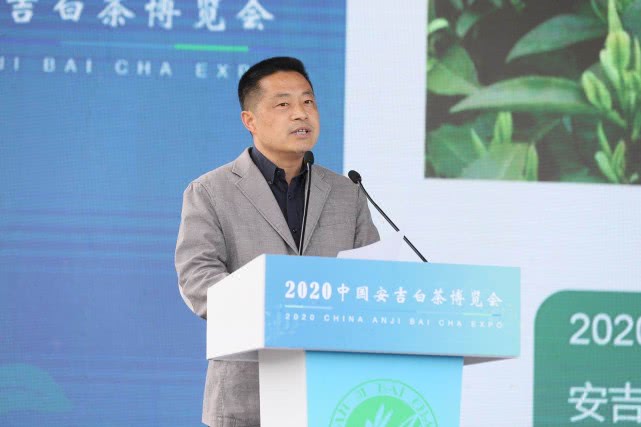 安吉县委副书记,代县长宋波宣布2020年安吉白茶正式开茶