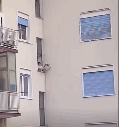 又疯了一个欧欧欧欧欧洲人