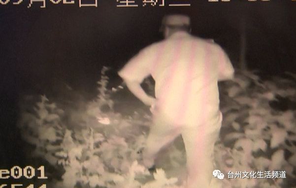 不做作业是吧?浙江爸爸晚上把娃“丢”到坟地罚