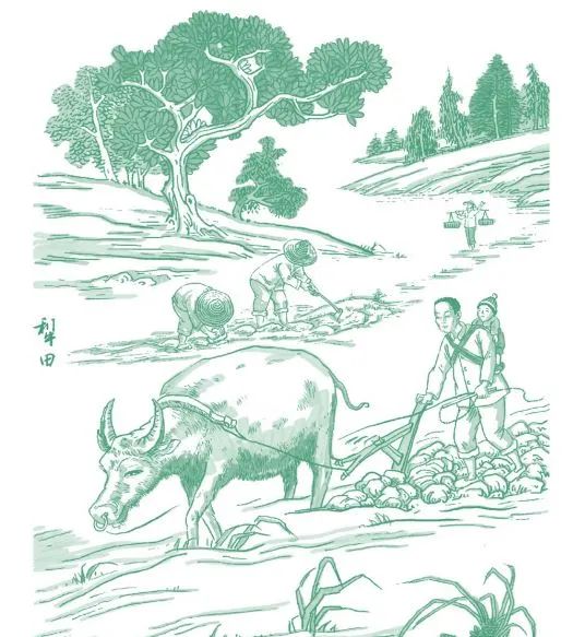 烧淤、挖土、灌园:乡间,庄稼人在做农活