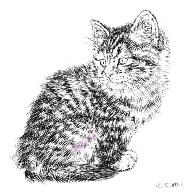 书画联盟丨白描百猫画谱选页欣赏