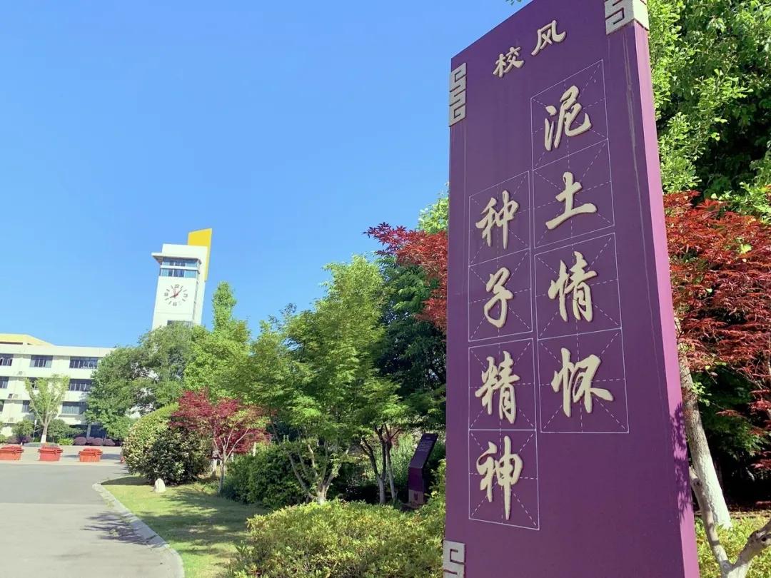 特约丨南京市中华中学上新河初级中学:培养行知合一的