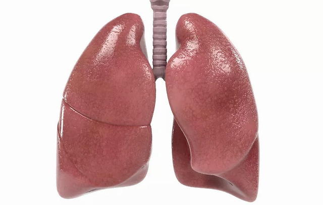 肺不好的人,身体会有"1大,2痛,3多",若没有,肺部还算健康