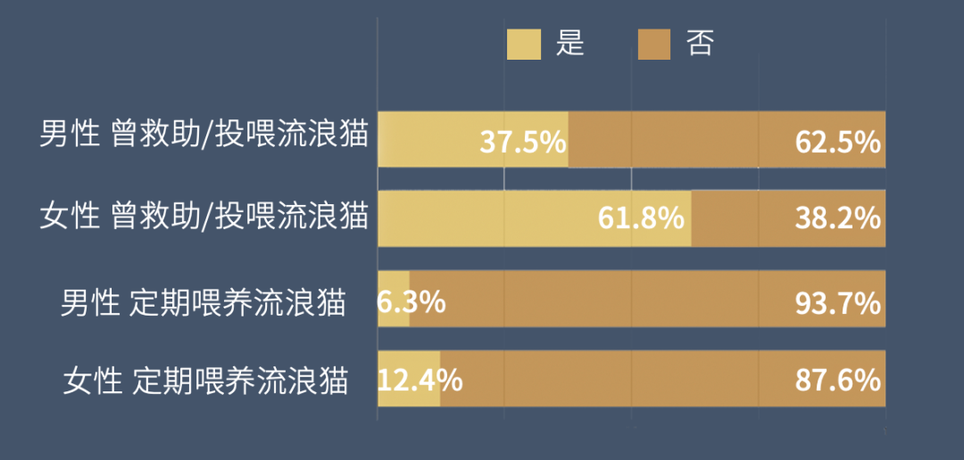 在中国,流浪猫每年捕杀的野生动物超过100亿