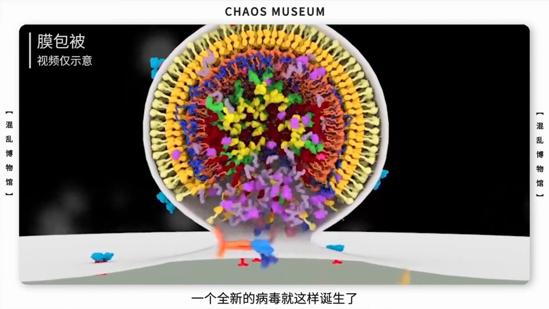 病毒是如何欺骗你的| 混乱博物馆