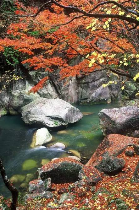 八岳山高原