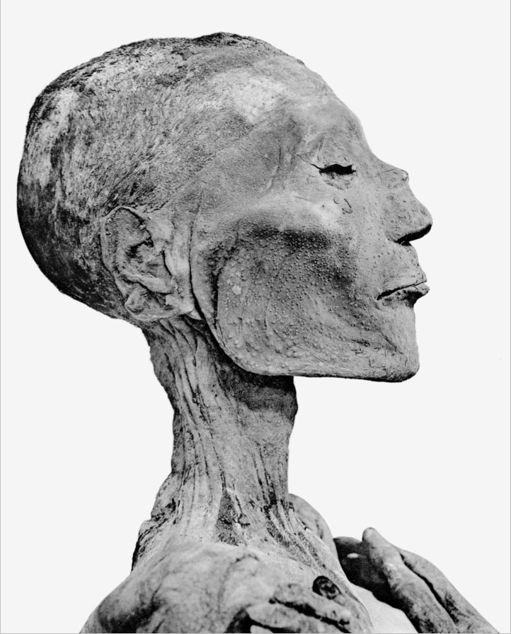 伊斯兰教如何应对瘟疫？| 地球知识局