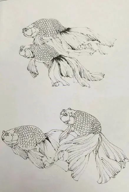 白描鱼画选页