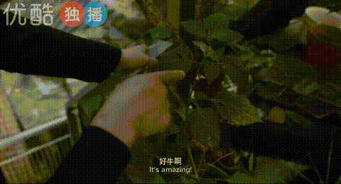 那些开着豪车摆摊的网红们,先憋忙着直播了…