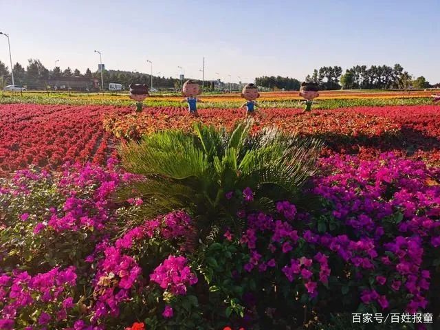 长春莲花山花海美不美,你的眼睛说了算