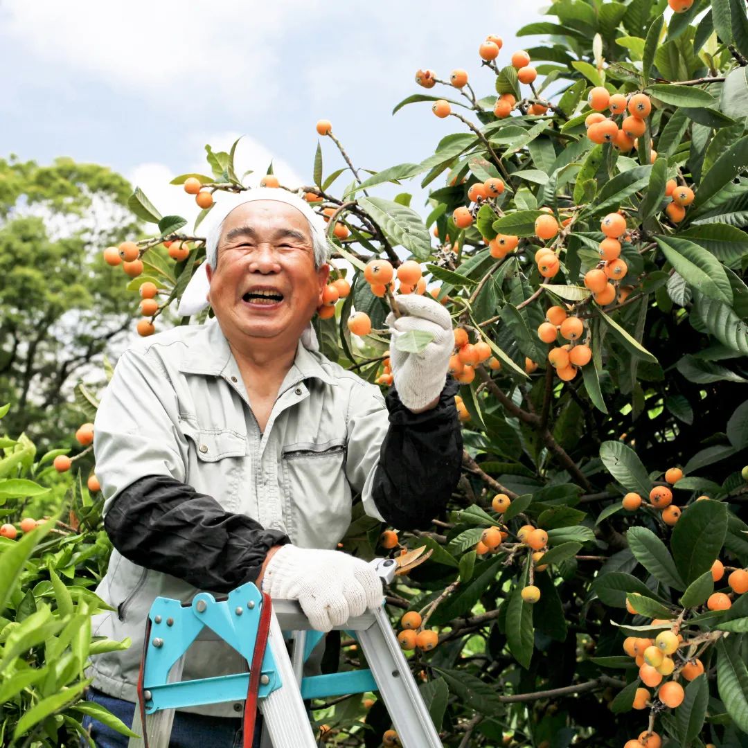 日本，搞过土改么