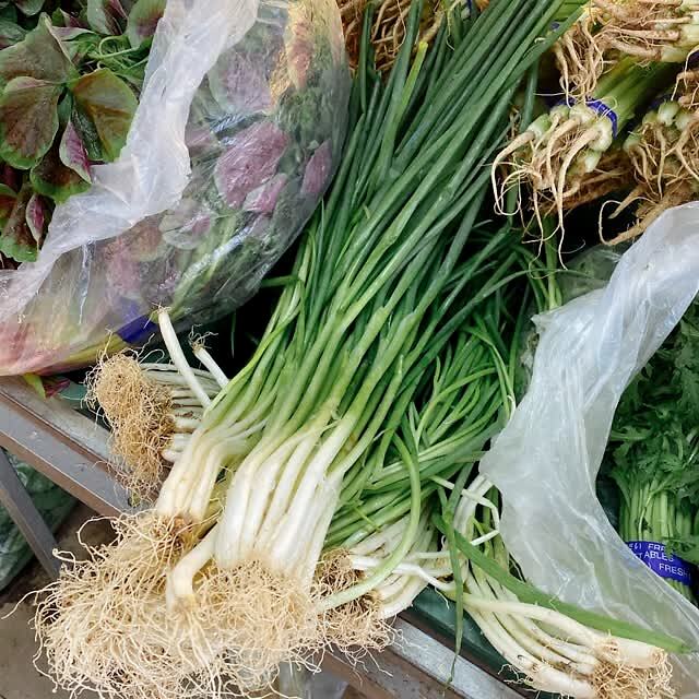 蒜黄韭黄、蒜苗蒜薹，难倒多少上街买菜的大老爷们