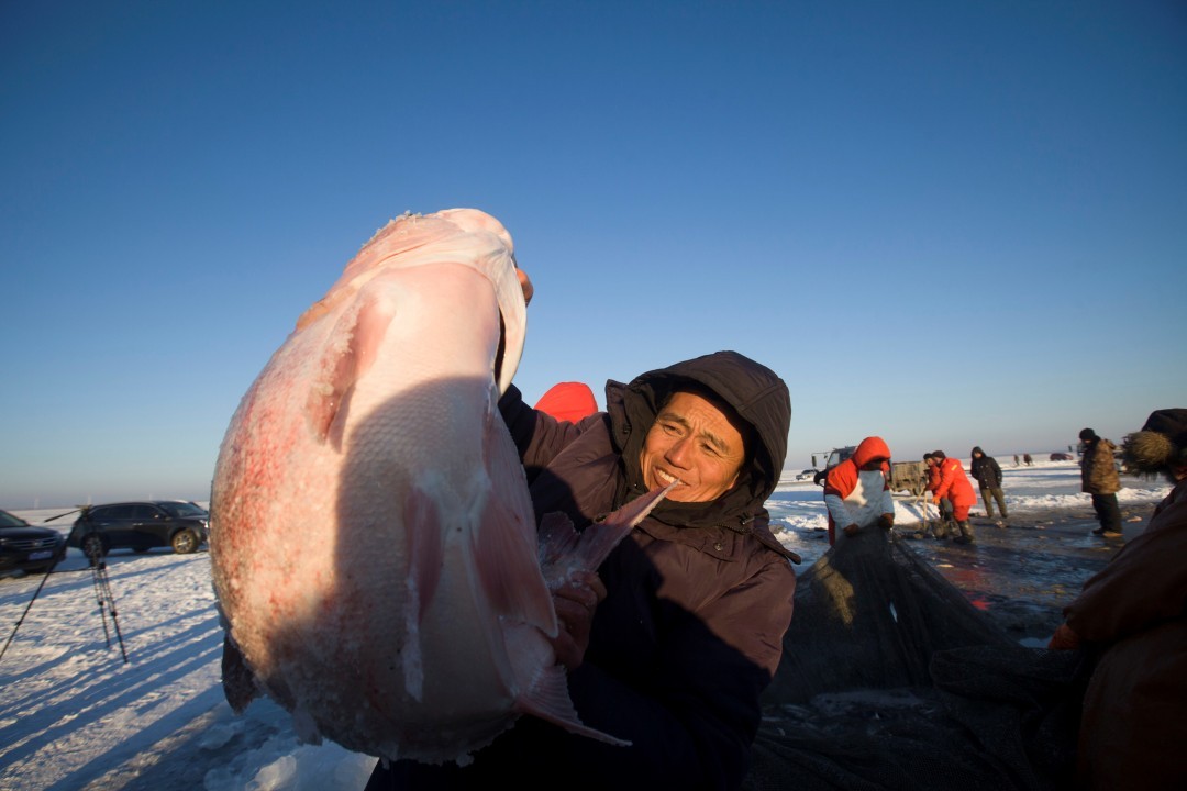 鲜卑人，从哪里来？ |　地球知识局