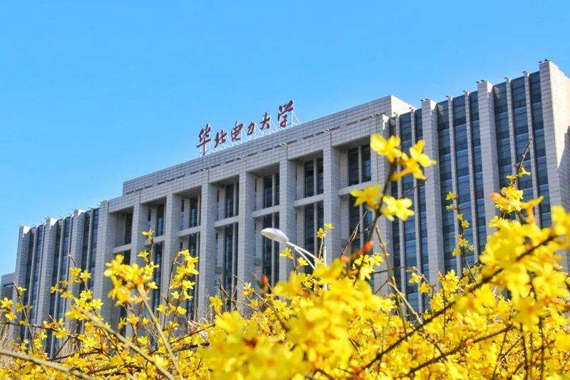 母校,花开了