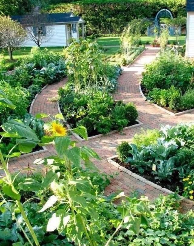 让菜园比花园还美——豪宅自建房别墅农村乡村庭院子私家花园景观绿化