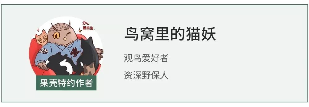如果早些严打，也许不会爆发第二次“野味肺炎”